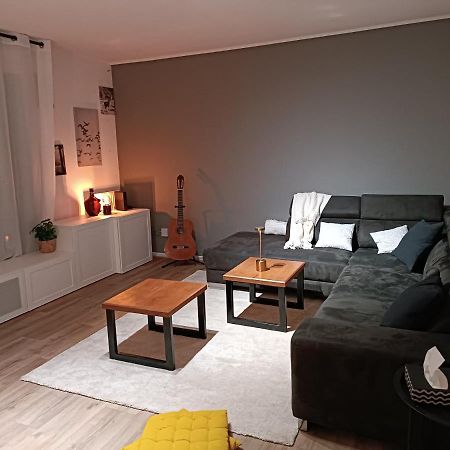 Stylish 1-Bedroom Flat With Beautiful Terrace , For A Cosy Retreat Strasbourg Exterior photo
